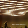 Luces de cultivo suplementarios LED de temperatura ambiente de cultivo